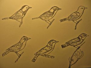 A warbler plate awaiting color.